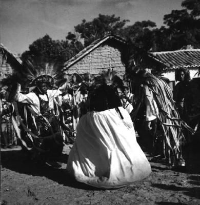 Bumba meu boi, festa popular