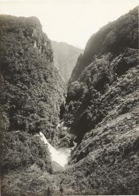 Vale do rio Ipiranga (o Véu da Noiva)