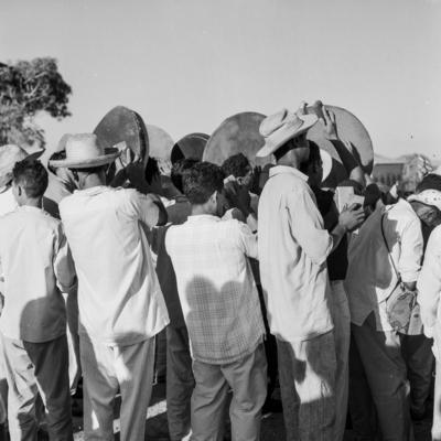 Bumba meu boi, festa popular