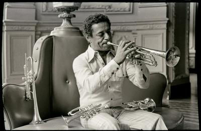 Formiga com o trompete