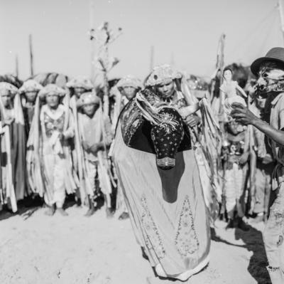 Bumba meu boi, festa popular