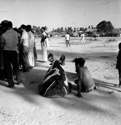 Bumba Meu Boi, festa popular