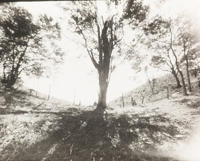 Fotograma do filme "O Profeta da Fome", de Maurice Capovilla