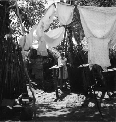 São Luís, lavadeiras