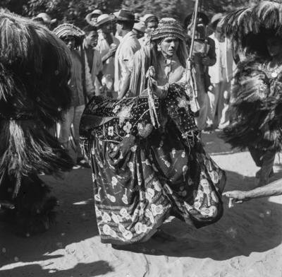 Bumba meu boi, festa popular
