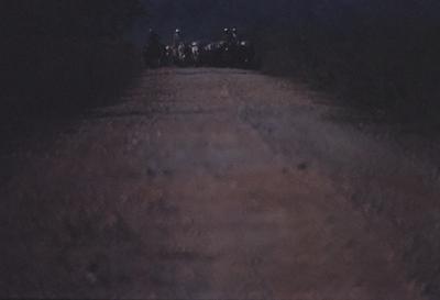 Boiadeiro conduz gado