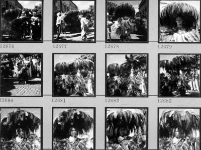 Bumba meu boi, festa popular