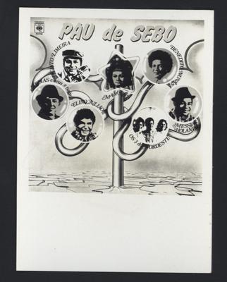 “Pau de sebo vol. 11” (capa de disco)