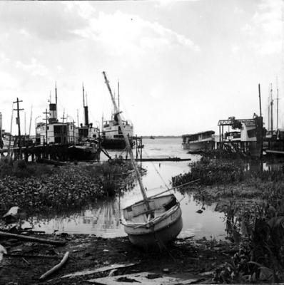 Vila da Barca, barcos
