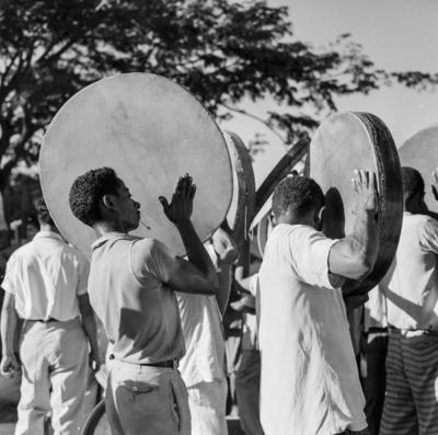 Bumba meu boi, festa popular
