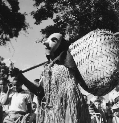 Bumba meu boi, festa popular