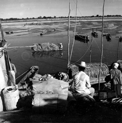 Cena do Rio São Francisco