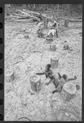 Lambertha Blinjenberg van Roosmalen (Betty)