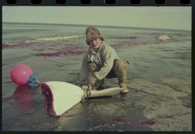 Viagem com a bióloga Livia Monami para registrar a caça da baleia branca