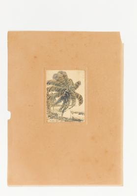 [Praia com jangada e coqueiros]