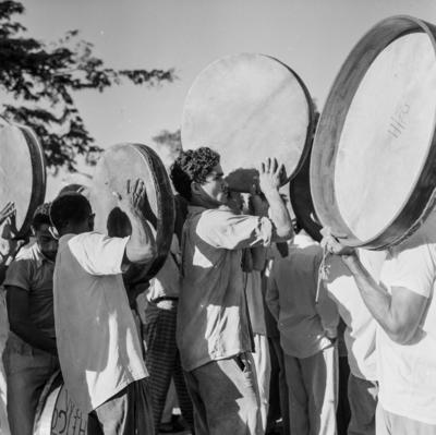 Bumba meu boi, festa popular