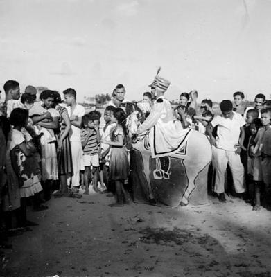 Bumba Meu Boi, festa popular