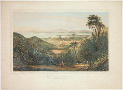 (Rio de Janeiro tomado de Boa Vista da Tijuca)