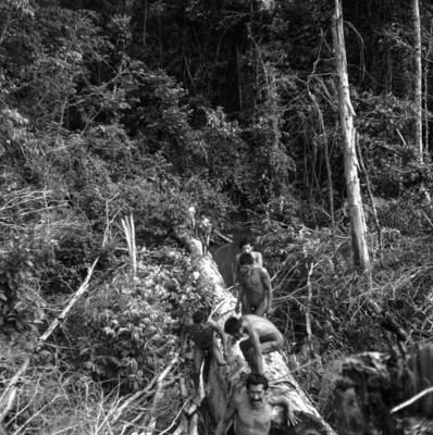 Expedição do SPI que estabeleceu os primeiros contatos com o povo Asuriní do Tocantins