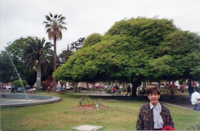 [Encontro Nacional dos Poetas]