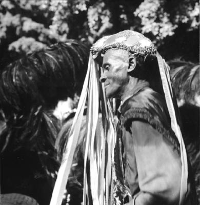 Bumba meu boi, festa popular