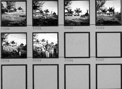 Preparativos para festa junina no Sítio Burle Marx