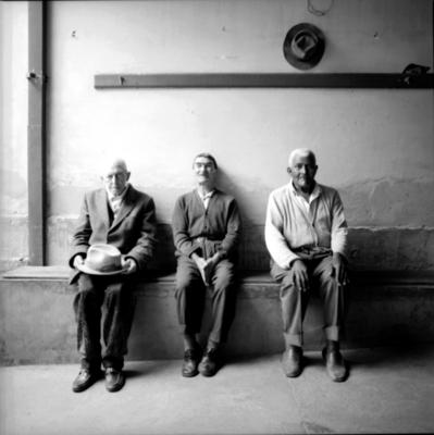 Antonio Vicente, Joaquim e Benedito