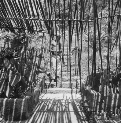 Funcionário do Sítio Burle Marx