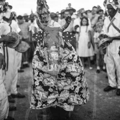 Ticumbi, festa popular