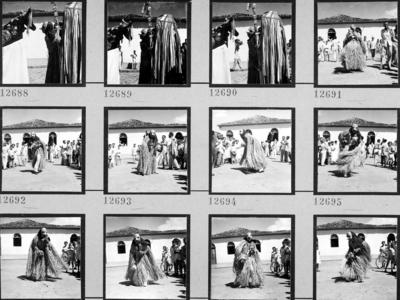 Bumba meu boi, festa popular