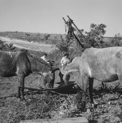 Estudantes da Universidade de Brasília