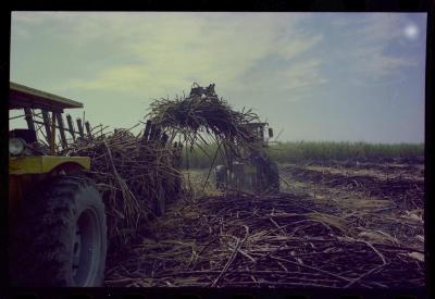 Produção de filme institucional sobre usinas de açúcar