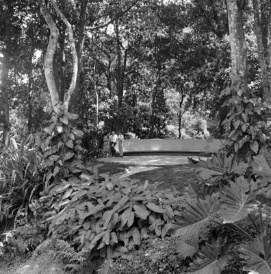 Residência de Homero de Souza e Silva, projeto do arquiteto Carlos Leão com projeto paisagístico de Burle Marx