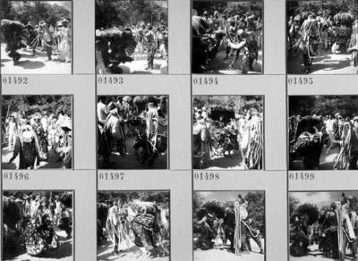 Bumba meu boi, festa popular