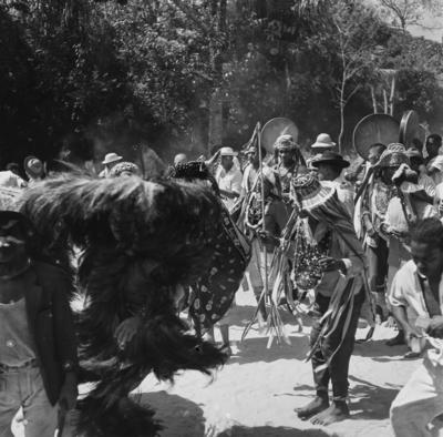 Bumba meu boi, festa popular