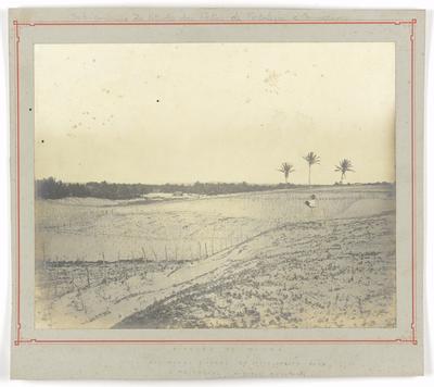 Local de estudo para construção do porto de Fortaleza