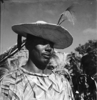 Bumba meu boi, festa popular