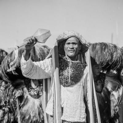 Bumba meu boi, festa popular
