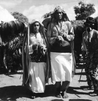 Bumba meu boi, festa popular