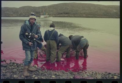 Viagem com a bióloga Livia Monami para registrar a caça da baleia branca