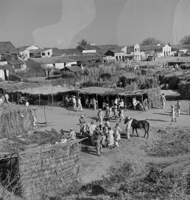 Canindé, casebres de sapê