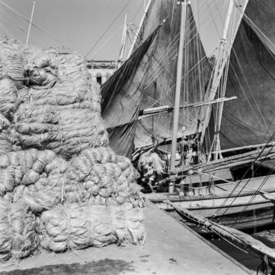 Homens descarregando juta