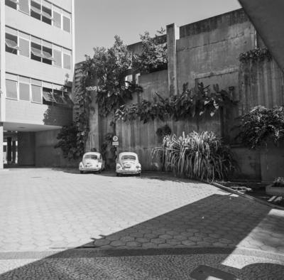 Jardim vertical de Burle Marx, no Hospital Souza Aguiar