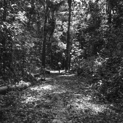 Expedição do SPI que estabeleceu os primeiros contatos com o povo Asuriní do Tocantins