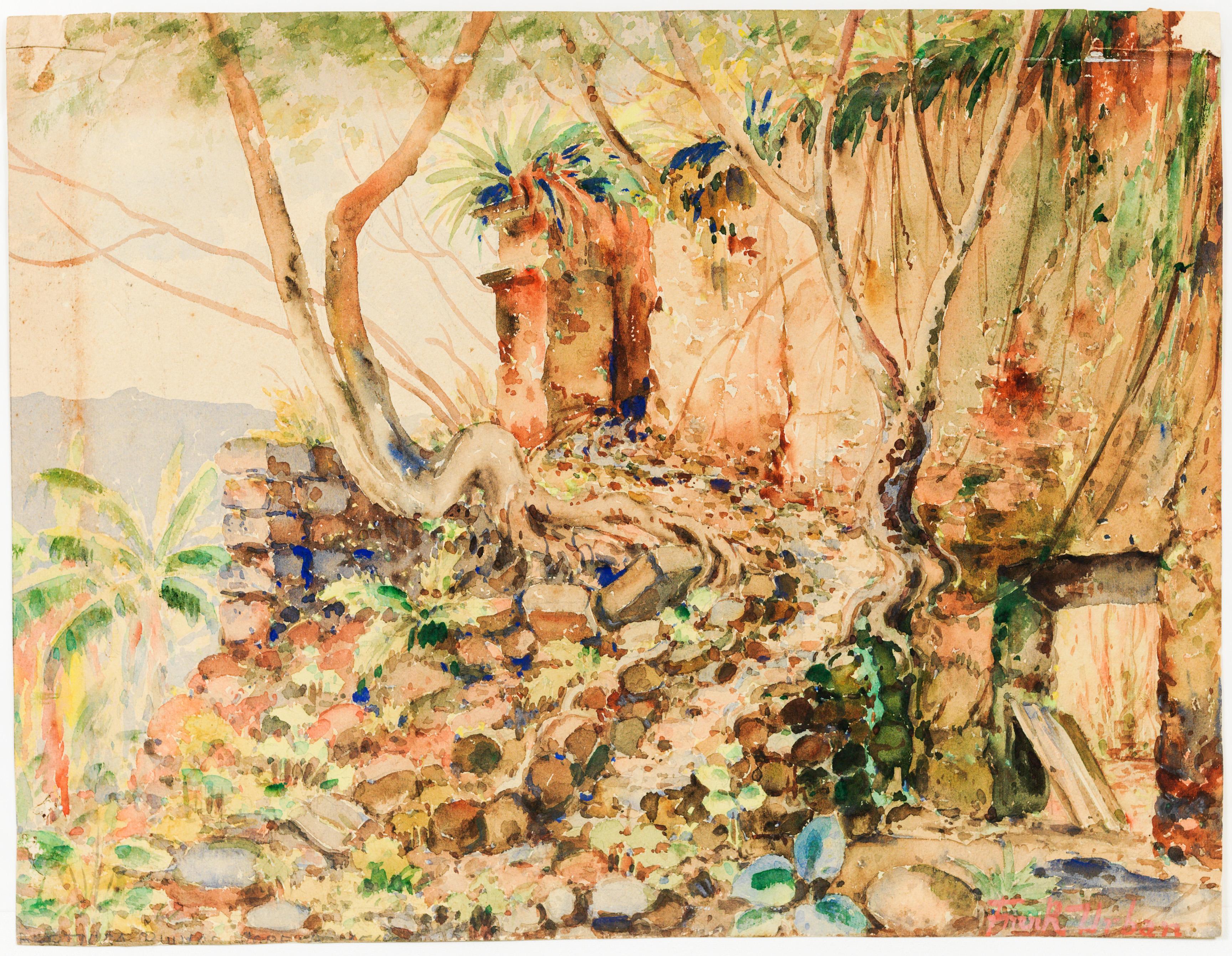 Bertioga Ruínas Igreja 1540