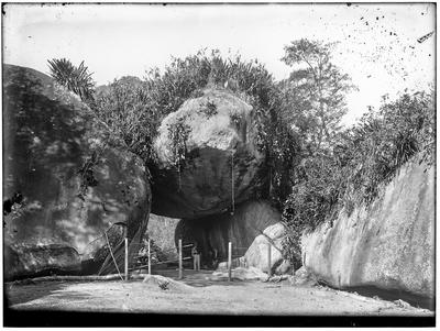 Interior do Jardim Botânico