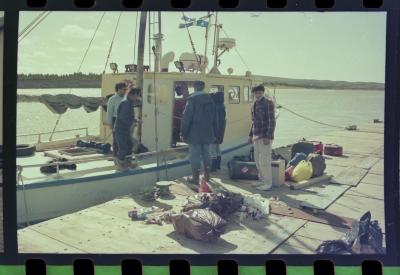 Viagem com a bióloga Livia Monami para registrar a caça da baleia branca