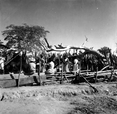 Acampamento de romeiros