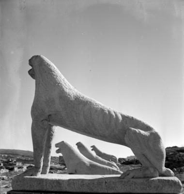 Alameda dos leões arcaicos, em Delos