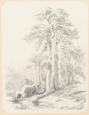 [Paisagem, provavelmente européia]